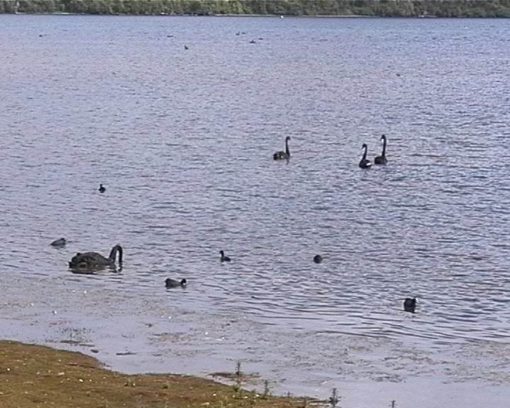 Lake Taupo